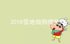 2018雪地细狗撵兔