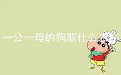 一公一母的狗取什么名字