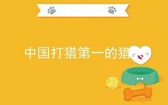中国打猎第一的猎犬