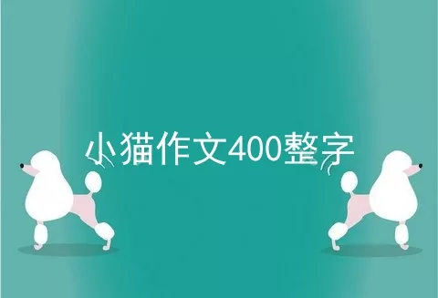 小猫作文400整字