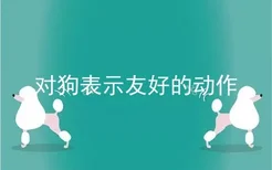 对狗表示友好的动作