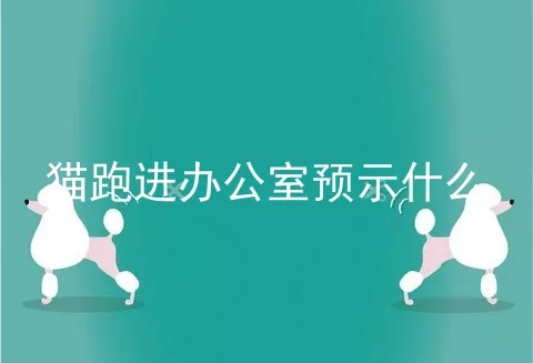 猫跑进办公室预示什么