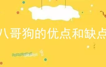 八哥狗的优点和缺点