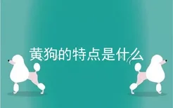 黄狗的特点是什么