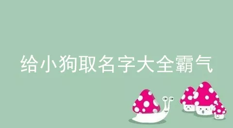 给小狗取名字大全霸气