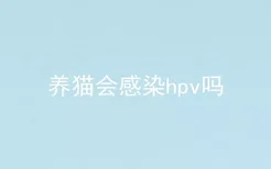 养猫会感染hpv吗