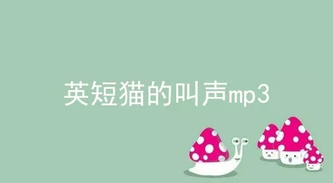 英短猫的叫声mp3