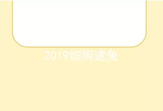 2019细狗逮兔