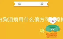 白狗泪痕用什么偏方可以擦掉