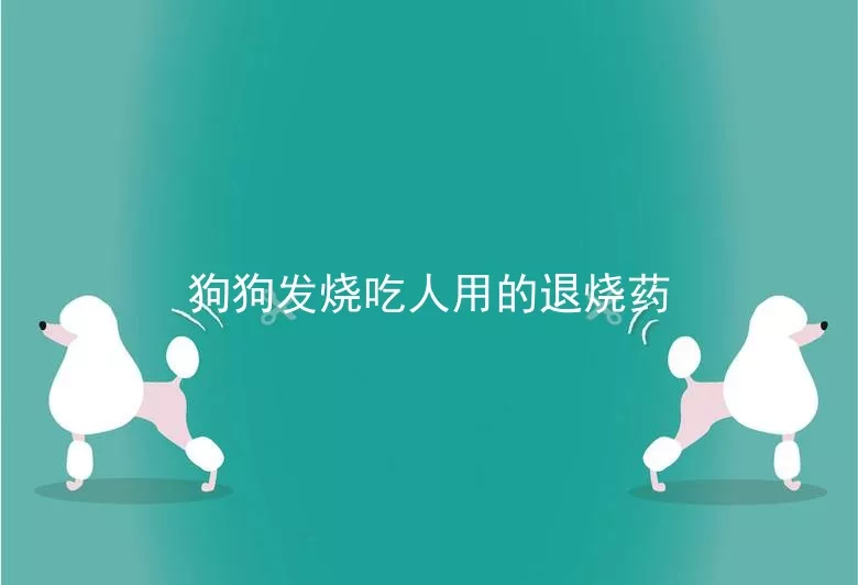 狗狗发烧吃人用的退烧药