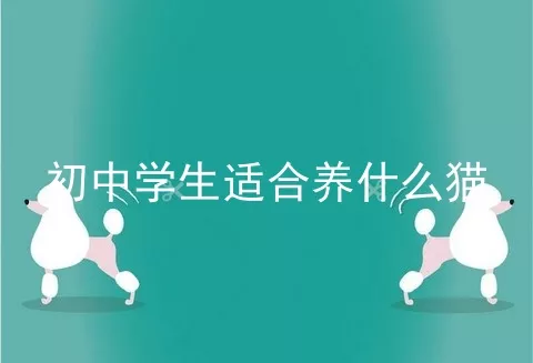 初中学生适合养什么猫