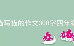 描写猫的作文300字四年级