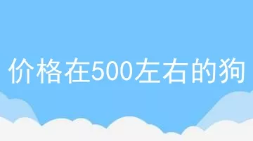 价格在500左右的狗