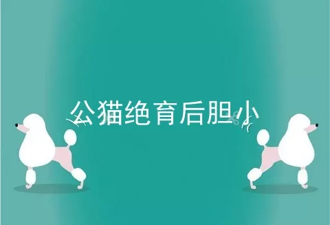 公猫绝育后胆小