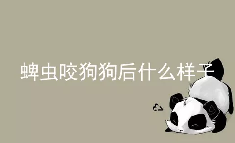 蜱虫咬狗狗后什么样子