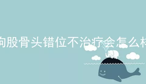 狗股骨头错位不治疗会怎么样