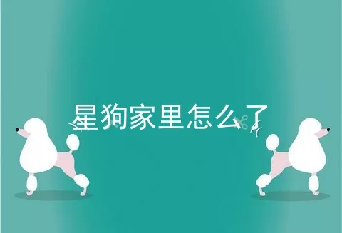 星狗家里怎么了