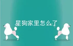 星狗家里怎么了