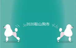 2020鞍山狗市