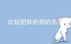 比较肥胖的狗的名字