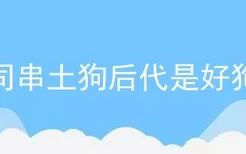 下司串土狗后代是好狗吗