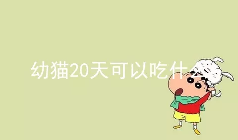 幼猫20天可以吃什么