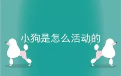 小狗是怎么活动的