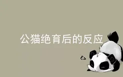 公猫绝育后的反应