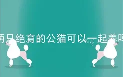 两只绝育的公猫可以一起养吗