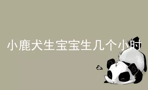 小鹿犬生宝宝生几个小时