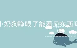 小奶狗睁眼了能看见东西吗