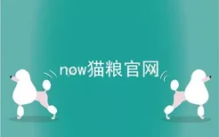 now猫粮官网