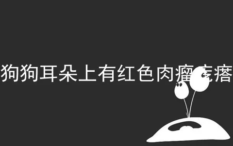 狗狗耳朵上有红色肉瘤疙瘩