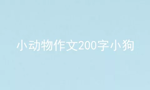 小动物作文200字小狗