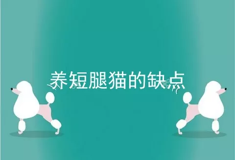 养短腿猫的缺点