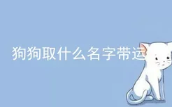 狗狗取什么名字带运气