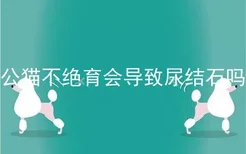 公猫不绝育会导致尿结石吗