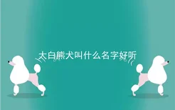 大白熊犬叫什么名字好听