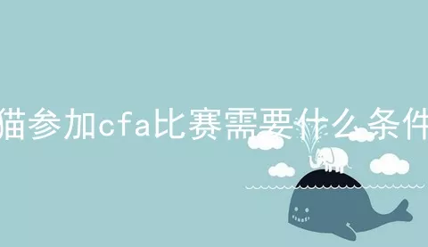 猫参加cfa比赛需要什么条件