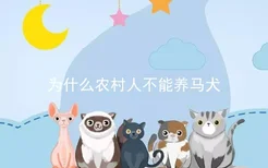 为什么农村人不能养马犬