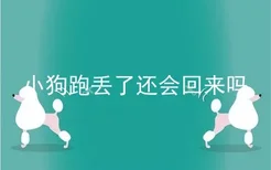 小狗跑丢了还会回来吗