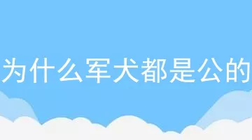 为什么军犬都是公的