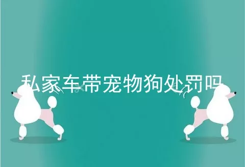 私家车带宠物狗处罚吗