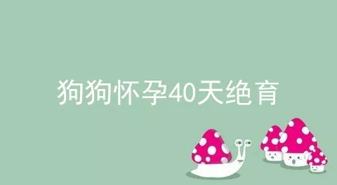 狗狗怀孕40天绝育