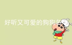 好听又可爱的狗狗名字