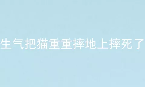 生气把猫重重摔地上摔死了