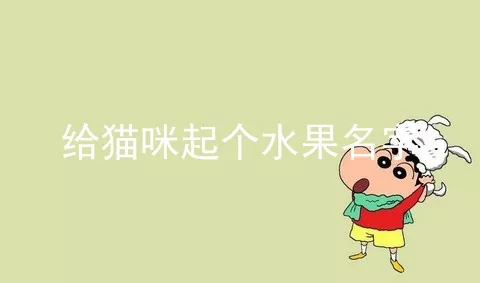 给猫咪起个水果名字