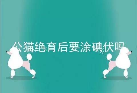 公猫绝育后要涂碘伏吗