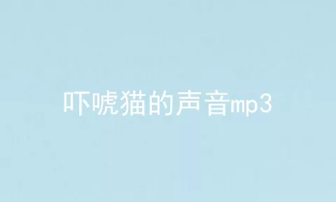 吓唬猫的声音mp3