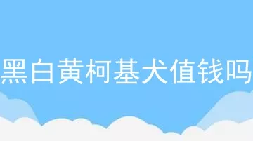 黑白黄柯基犬值钱吗